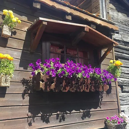 Ascot-zermatt 公寓 采尔马特