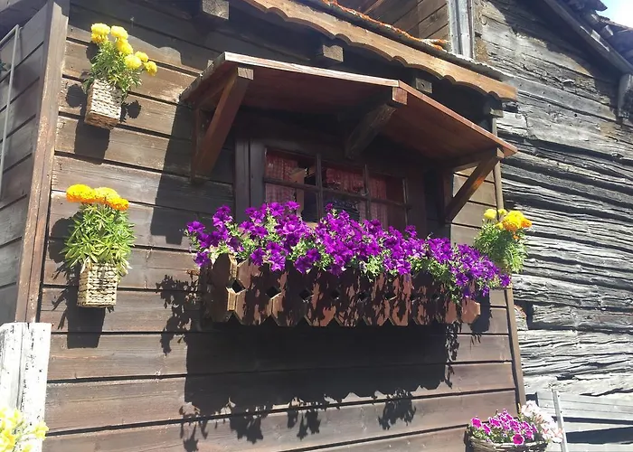 Ascot-zermatt Apartment Zermatt