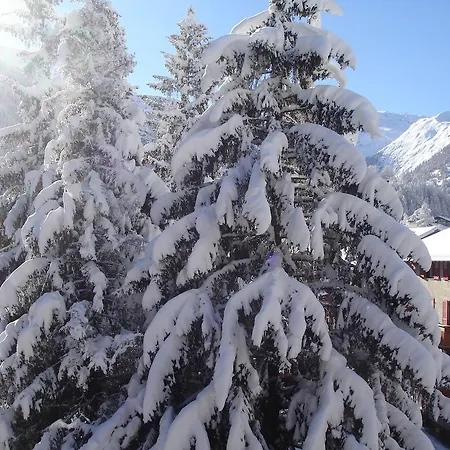Ascot-zermatt