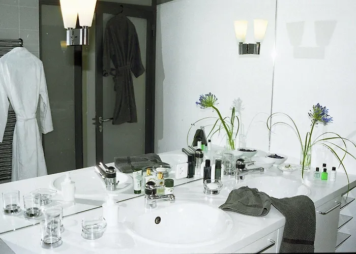 Ascot-zermatt צרמט